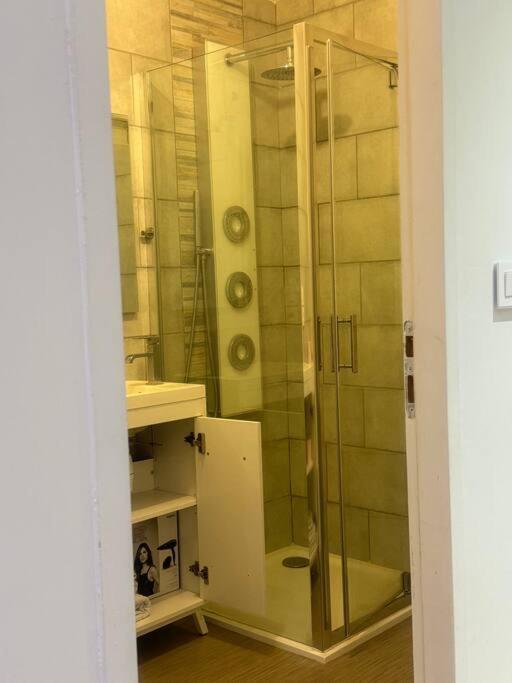 Christelle Apartment โรมิญี-ซูร์-เซน ภายนอก รูปภาพ